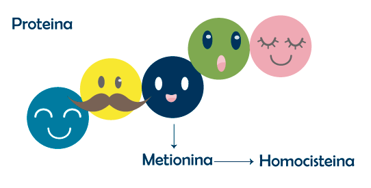 metionina metionina